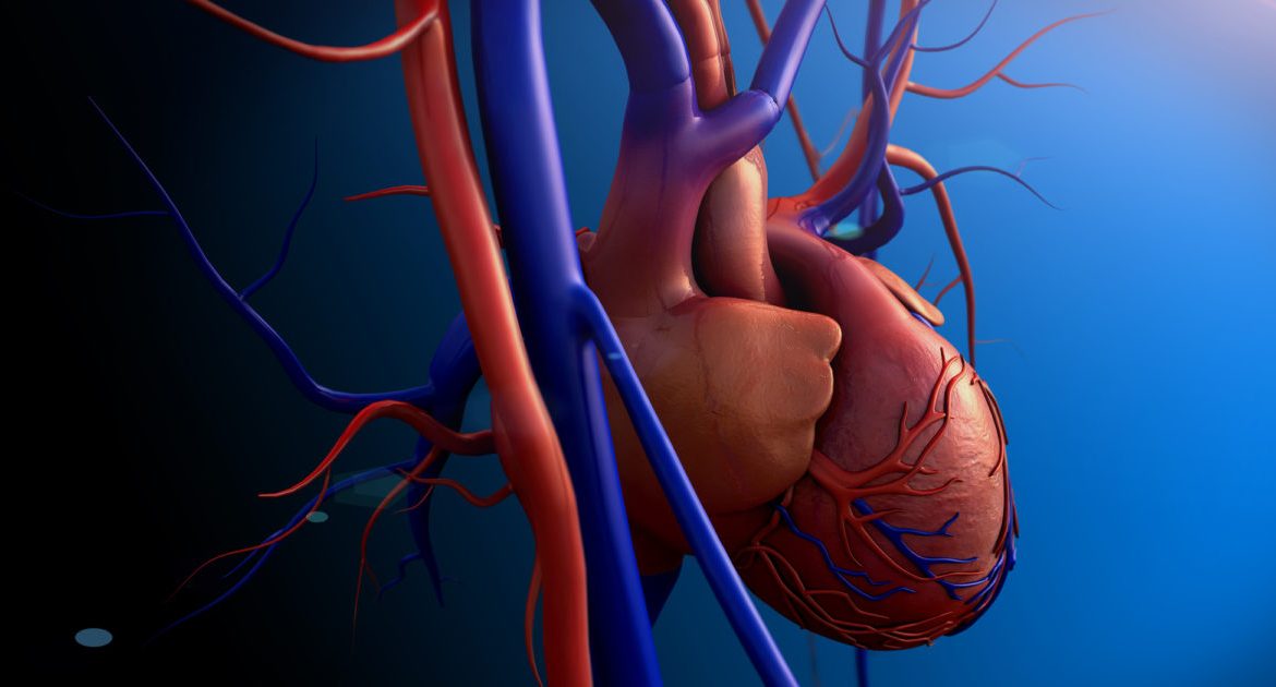 Heart Valve Health