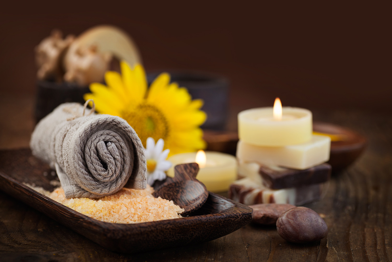 spa franchise opportunities in Florida